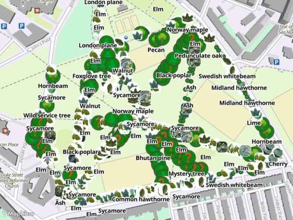 Map 'Treespotting'