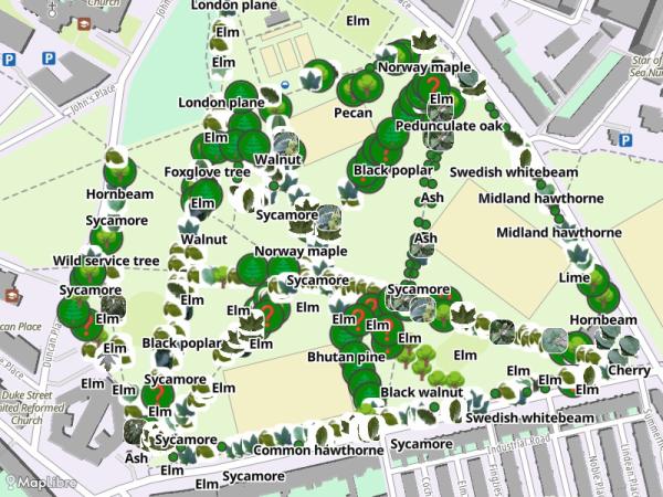 Map 'Treespotting'
