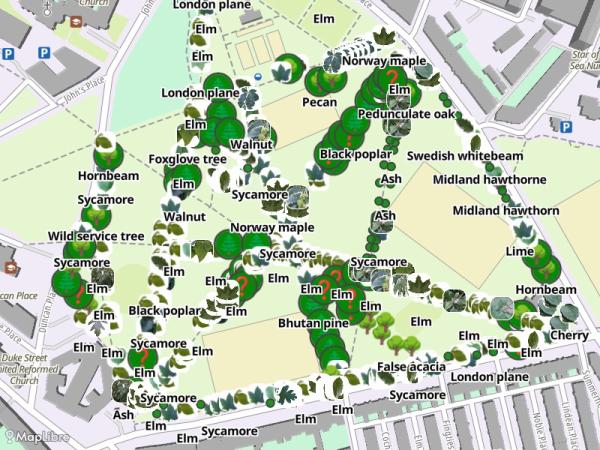 Map 'Treespotting'