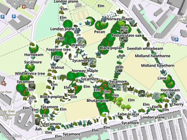 Map 'Treespotting'