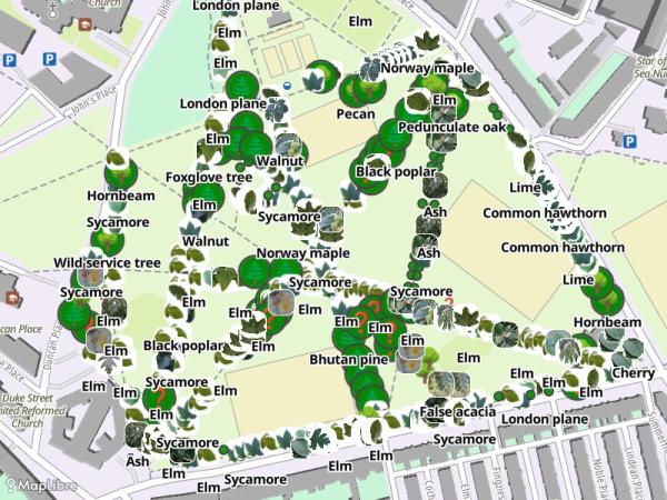 Map 'Treespotting'